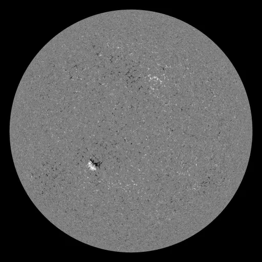 Solar Magnetic Fields
