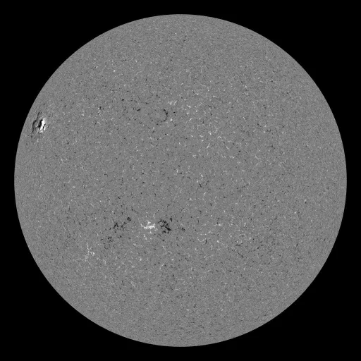 Solar Magnetic Fields