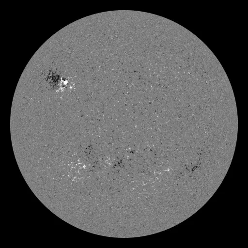 Solar Magnetic Fields