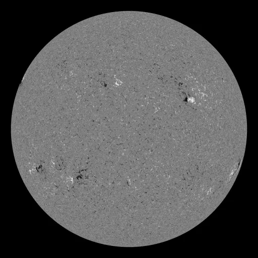 Solar Magnetic Fields