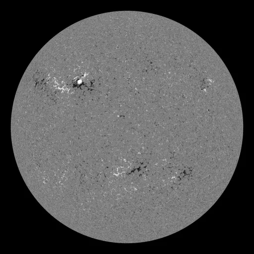 Solar Magnetic Fields