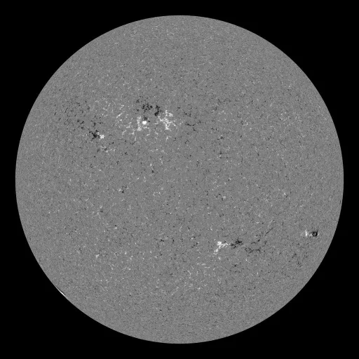 Solar Magnetic Fields