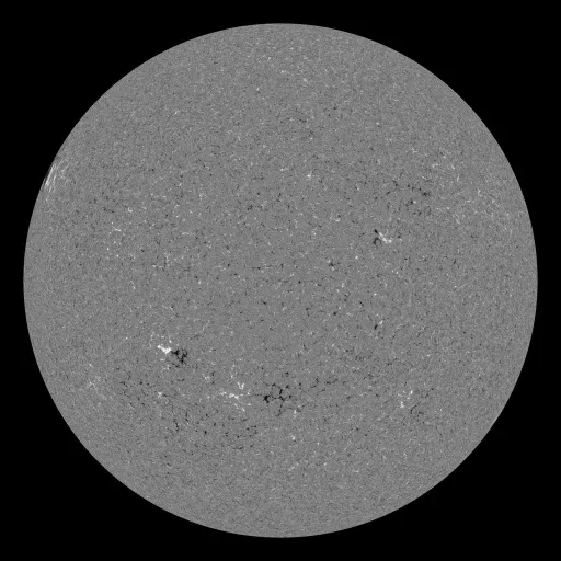 Solar Magnetic Fields