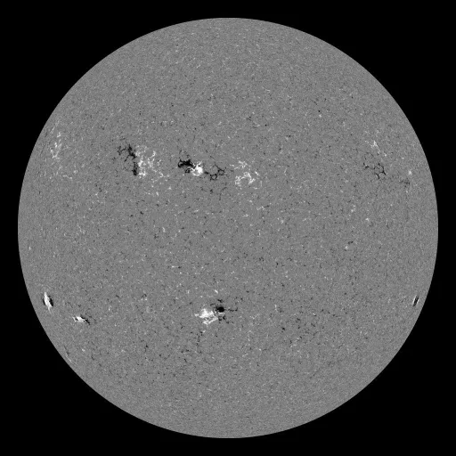 Solar Magnetic Fields
