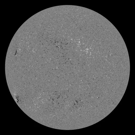 Solar Magnetic Fields