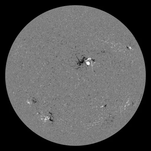 Solar Magnetic Fields