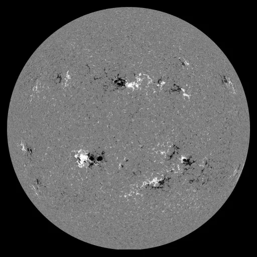 Solar Magnetic Fields