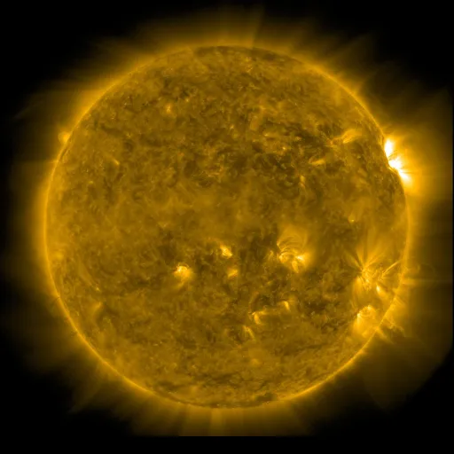 Solar Corona