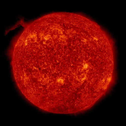 Solar transition region