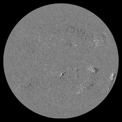 Solar Magnetic Fields