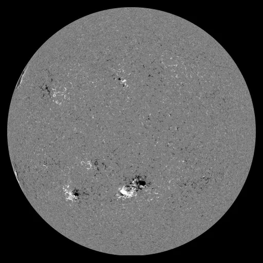 Solar Magnetic Fields
