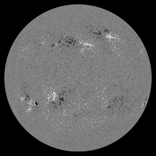 Solar Magnetic Fields