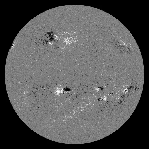 Solar Magnetic Fields