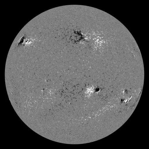 Solar Magnetic Fields