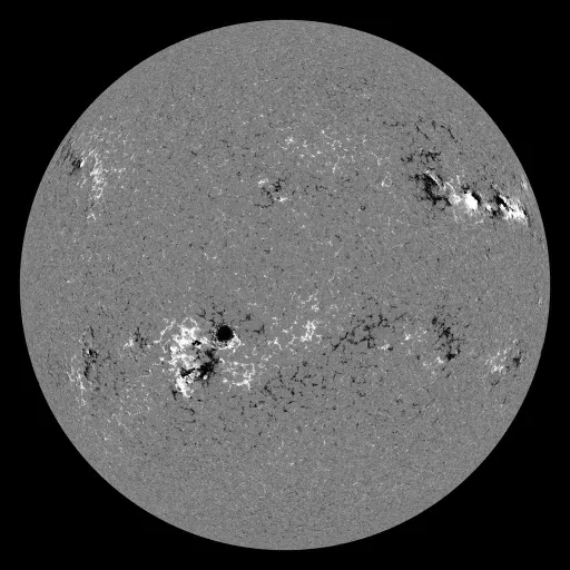 Solar Magnetic Fields