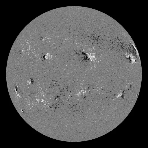 Solar Magnetic Fields