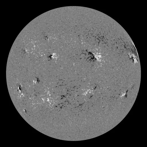 Solar Magnetic Fields