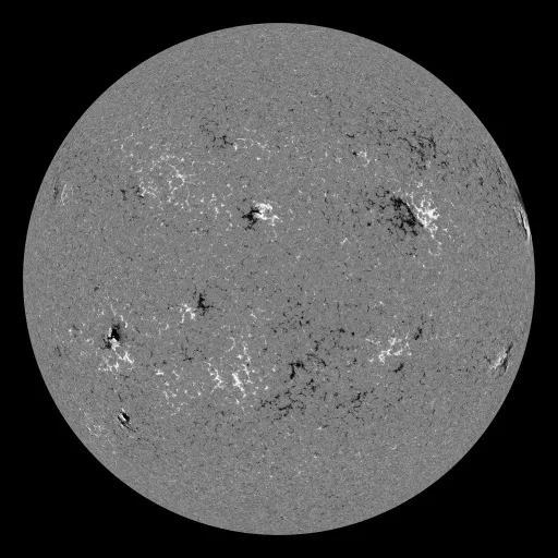 Solar Magnetic Fields