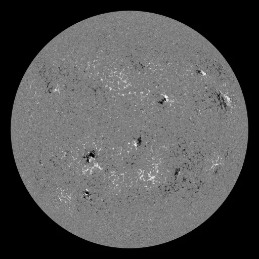 Solar Magnetic Fields