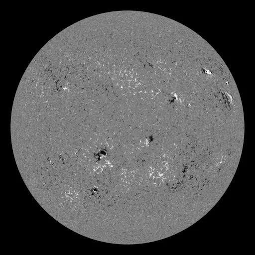 Solar Magnetic Fields
