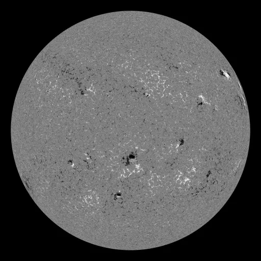 Solar Magnetic Fields