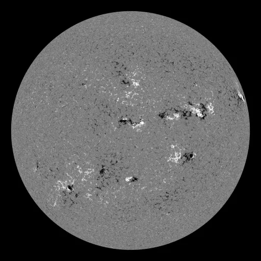 Solar Magnetic Fields