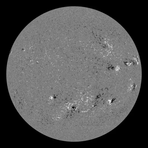 Solar Magnetic Fields