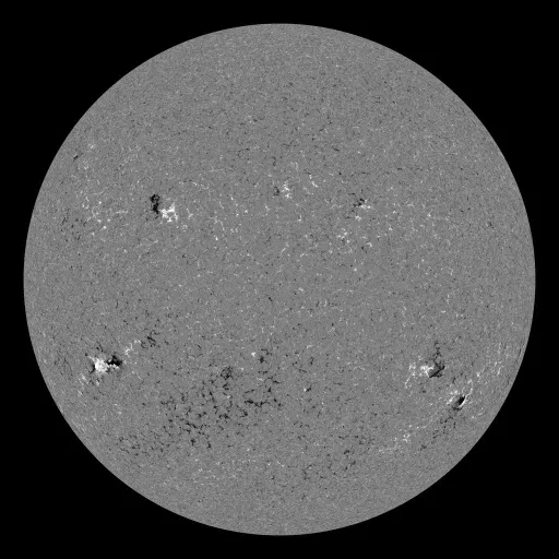 Solar Magnetic Fields