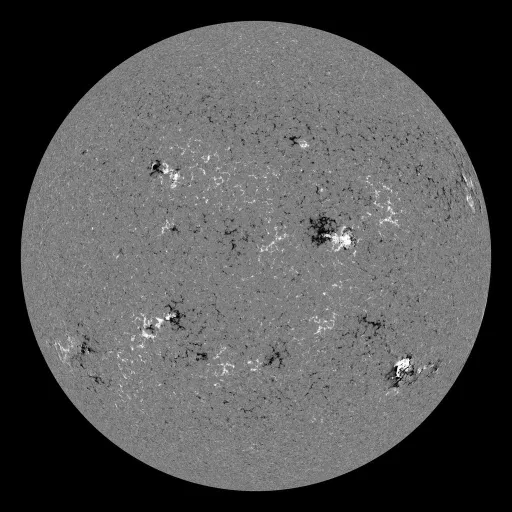 Solar Magnetic Fields
