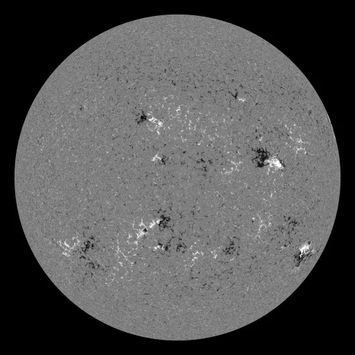 Solar Magnetic Fields