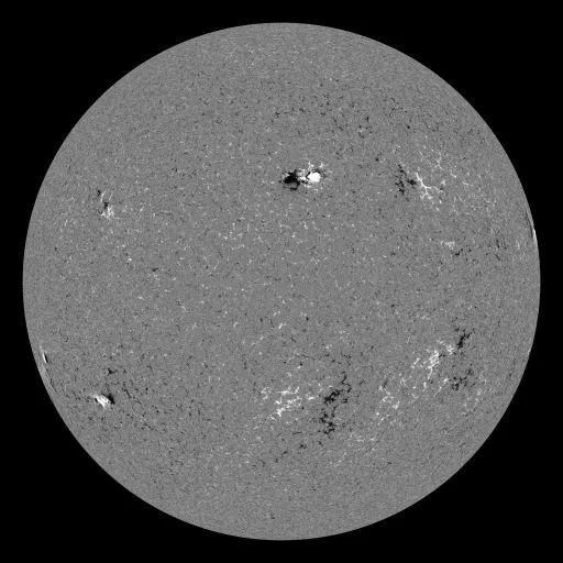 Solar Magnetic Fields