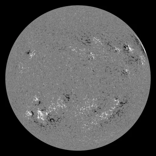 Solar Magnetic Fields