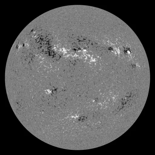 Solar Magnetic Fields