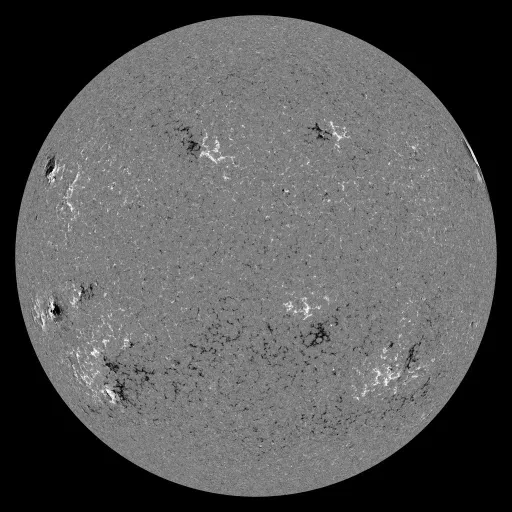 Solar Magnetic Fields