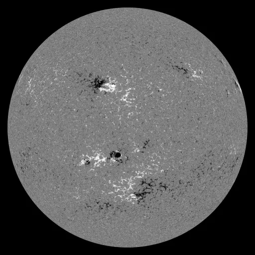 Solar Magnetic Fields