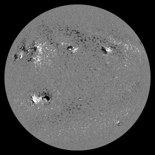 Solar Magnetic Fields
