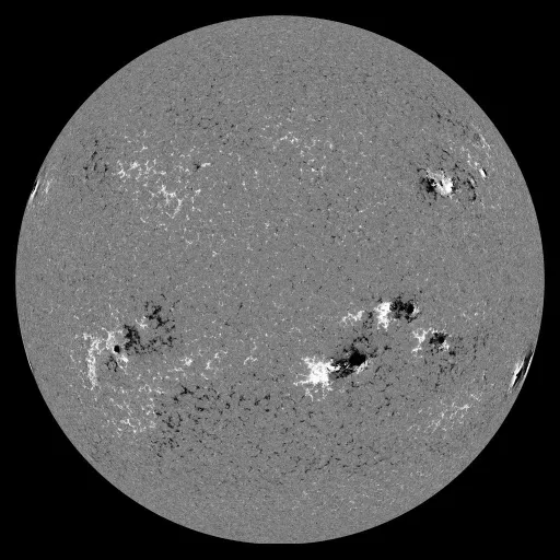 Solar Magnetic Fields