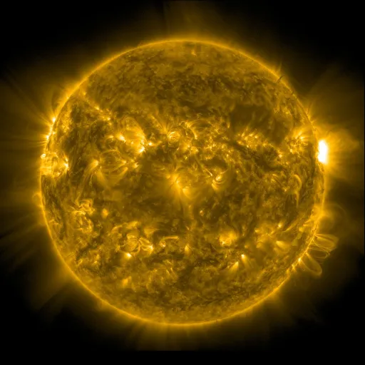 Solar Corona