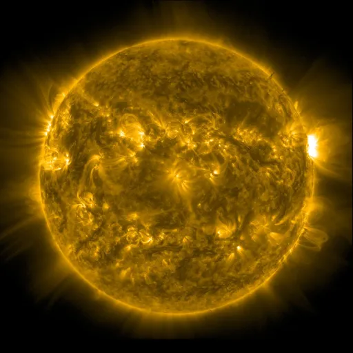 Solar Corona