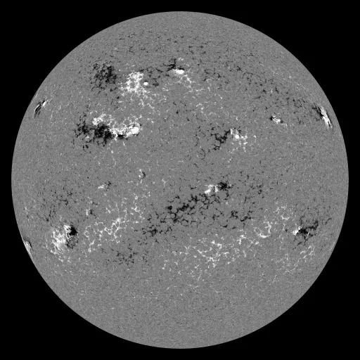 Solar Magnetic Fields