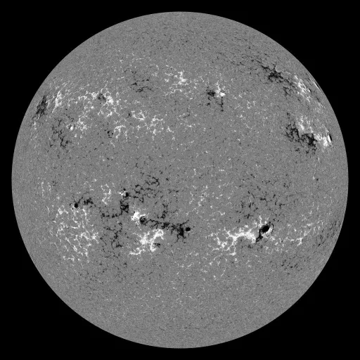 Solar Magnetic Fields