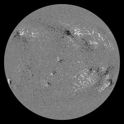 Solar Magnetic Fields