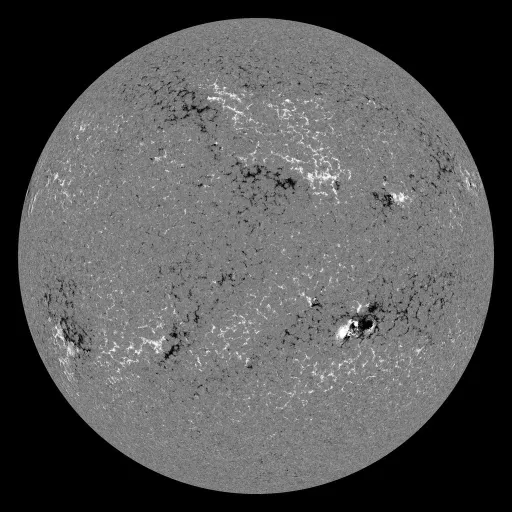 Solar Magnetic Fields