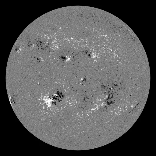 Solar Magnetic Fields