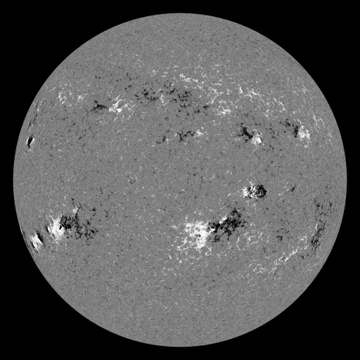 Solar Magnetic Fields