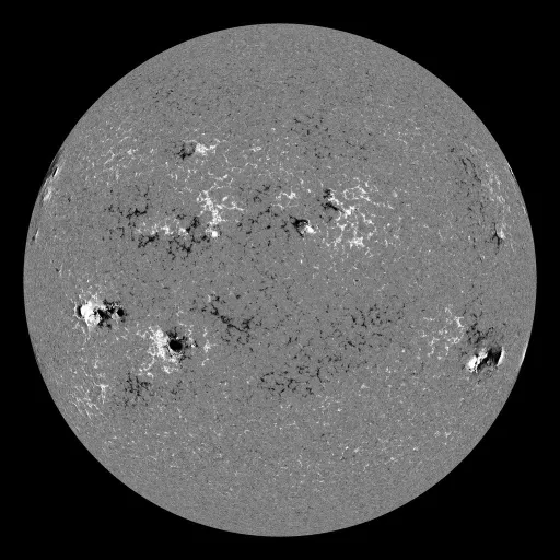 Solar Magnetic Fields