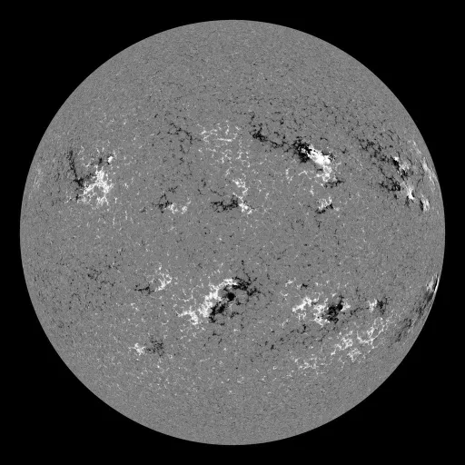 Solar Magnetic Fields