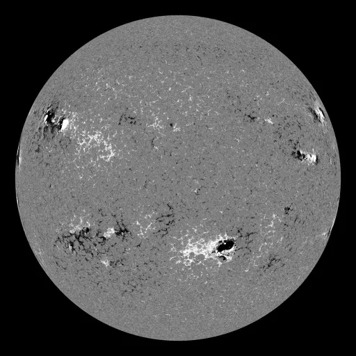 Solar Magnetic Fields