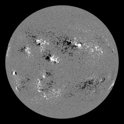 Solar Magnetic Fields