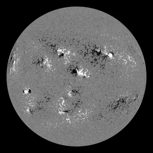 Solar Magnetic Fields
